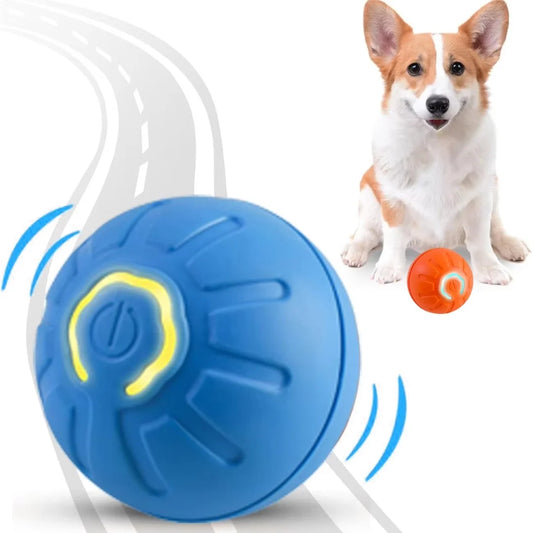 Gravity Electric Pet Ball