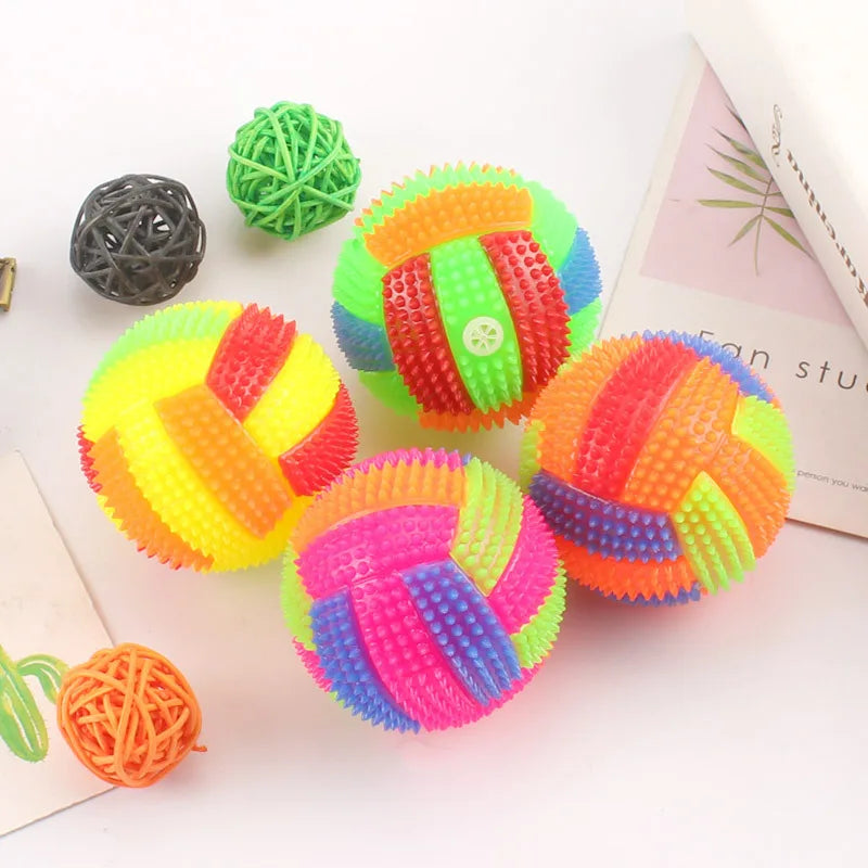 Glowing Ball Dog Toy