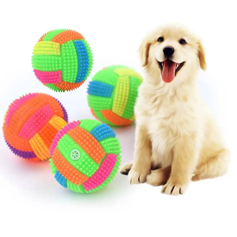 Glowing Ball Dog Toy
