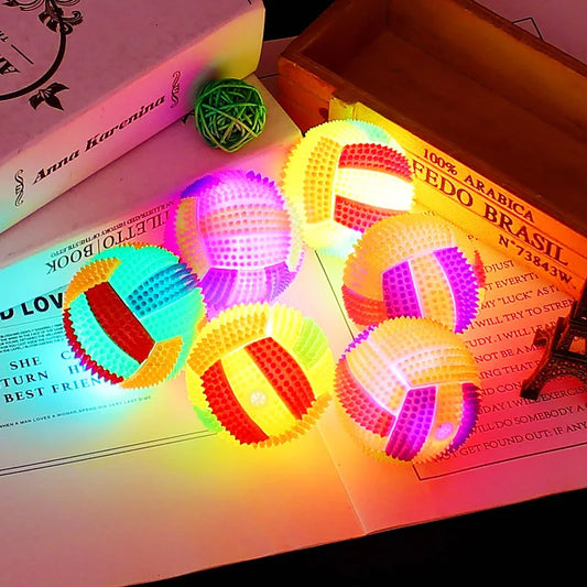 Glowing Ball Dog Toy
