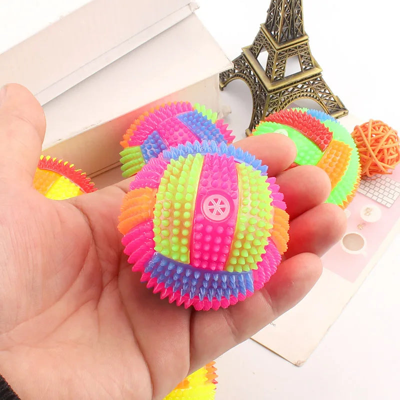 Glowing Ball Dog Toy