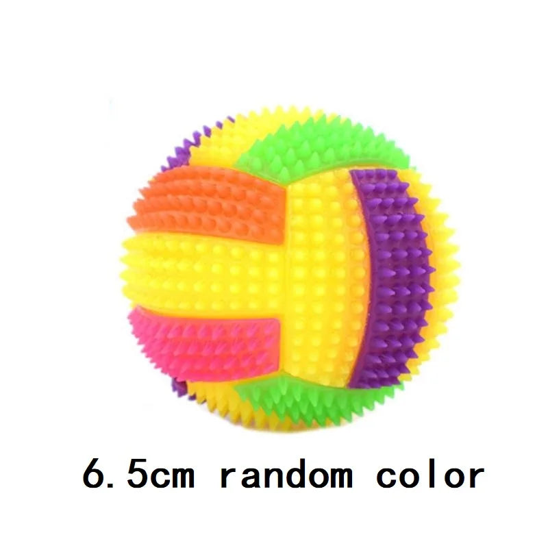 Glowing Ball Dog Toy