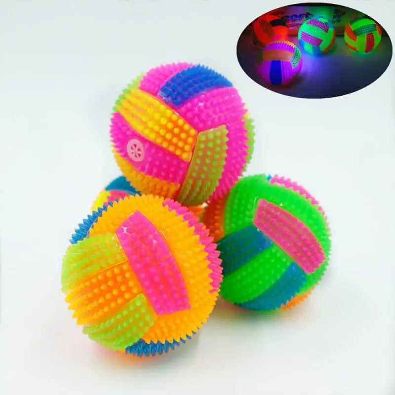 Glowing Ball Dog Toy